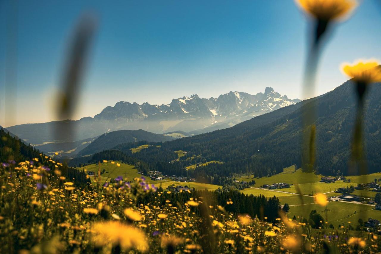 Wimmhof Lägenhet Sankt Martin am Tennengebirge Exteriör bild