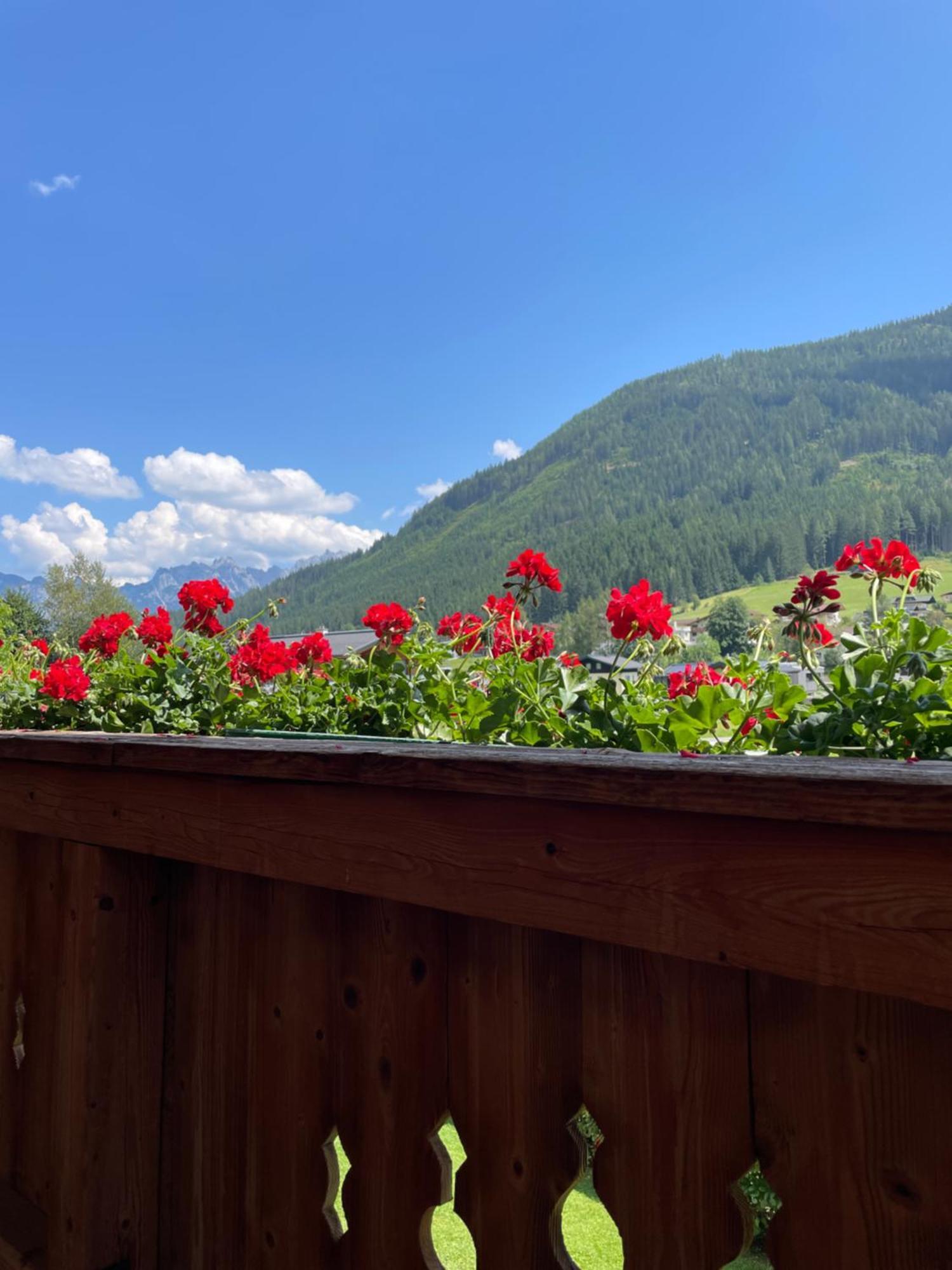 Wimmhof Lägenhet Sankt Martin am Tennengebirge Exteriör bild